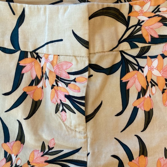 Loft Shorts - Picture 8 of 8